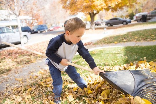 Little boy raking leaves