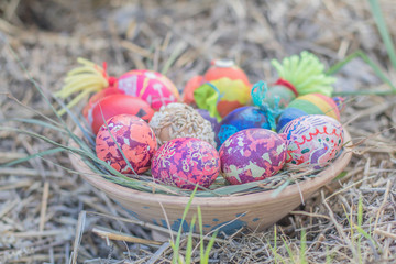 Happy easter modern colorful eggs handmade pottery plate grass chamomile daisies meadow outside