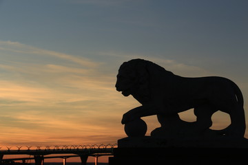 silhouette of a lion at sunset