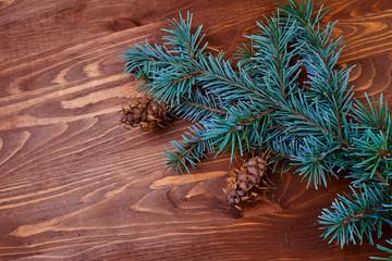 wooden background with fir tree