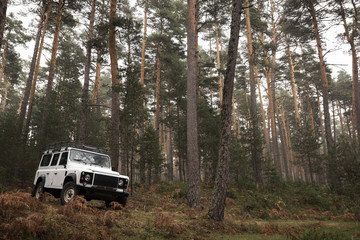 4x4 in the middle of the forest on a cloudy autumn day.