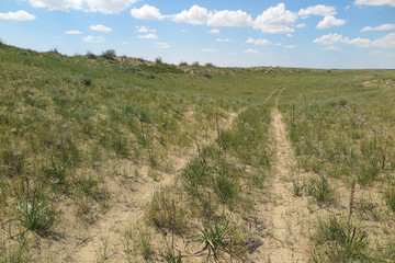 Desert road in the spring desert of the Western Kazakhstan