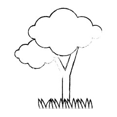 tree plant isolated icon vector illustration design