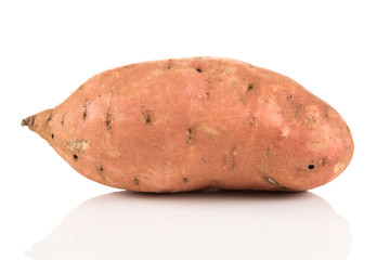 Sweet potato on the white background