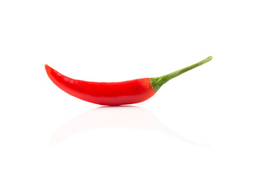 fresh red chili on white background