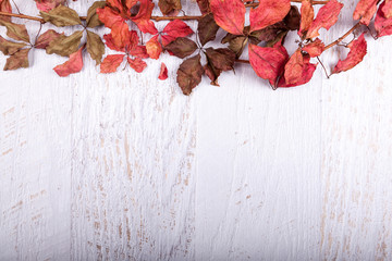 Naklejka na ściany i meble Autumn background with copy space available. Red colored leaves on white wooden background