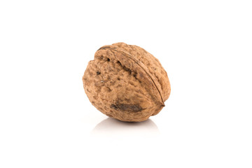 Walnut nut on white