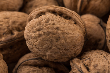Walnut nut closeup