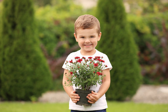 Little boy holding blooming plant in garden
