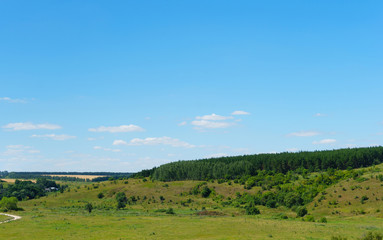 summer green landscape view