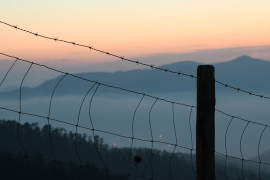 Dawn behind the fence 