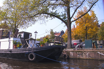 Obraz premium city on the river