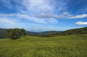 Fototapeta premium paesaggio lucano 