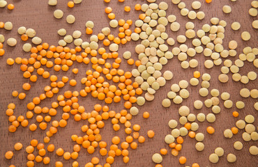 Two types of lentils - Lens culinaris