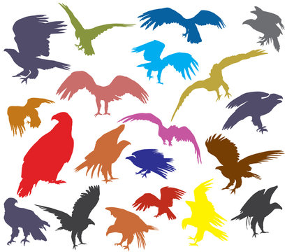 Set of colorful vector american eagle silhouettes
