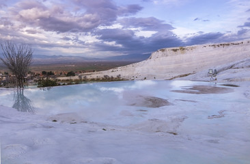 Purple And Blue Reflections