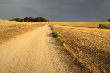 Salidas