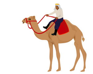 one person on camel vector design