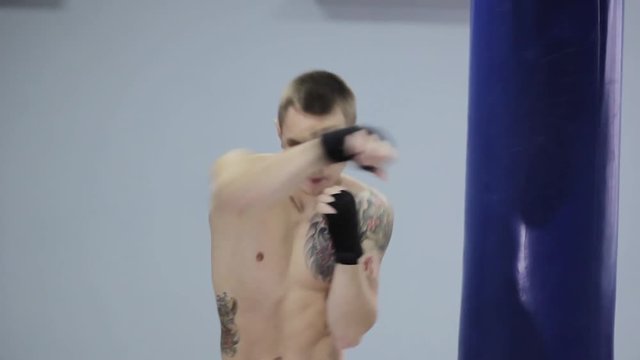 guy boxer trains in the gym