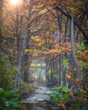 Autumn on Cypress Creek