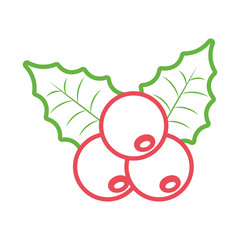 mistletoe icon over white background colorful design vector illustration