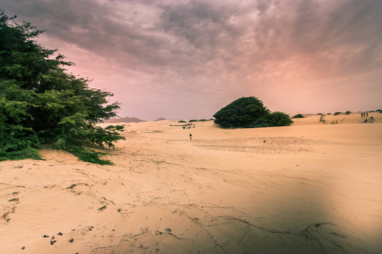 Desert In Boa Vista - Cape Verde