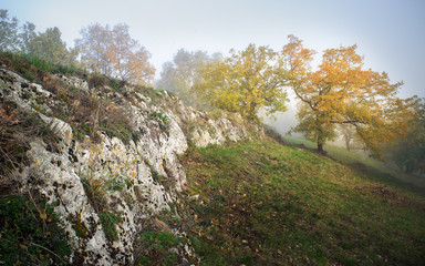 Herbstlandschaft auf dem Goldberg im Burgenland