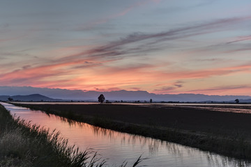 Rojiza puesta de sol sobre los arrozales del Delta del Ebro