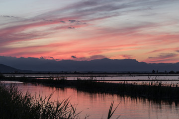 Rojizo atardecer sobre los arrozales del Delta del Ebro