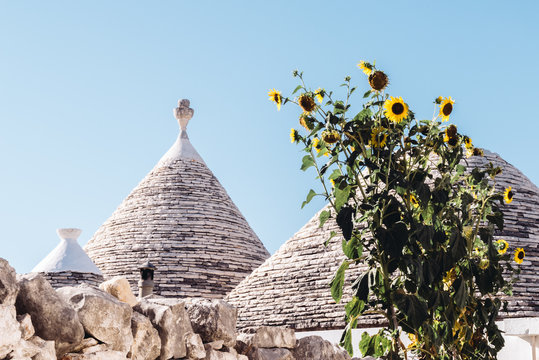 Alberobello typical Trullo houses made by volcanic stones