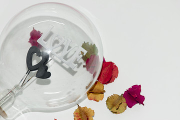 Light bulb shape with colorful dried flowers on white background