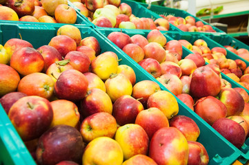 Apples on boxes in supermarket