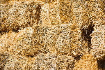 Storage with piles of stacks of hay