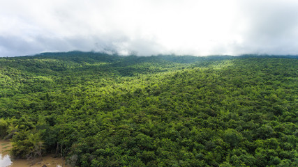 Fototapeta premium Aerial view of the forest.Thailand 