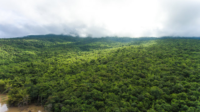 Fototapeta Aerial view of the forest.Thailand