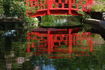 Red wooden bridge in Japanese style garden reflecting into a pond