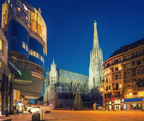 Foto op Plexiglas St. Stephan-kathedraal en kerstboom, Wenen © sborisov