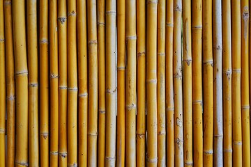 Yellow bamboo stick pattern for background, bamboo fence in Asia style