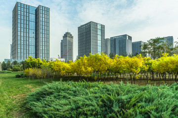 beautiful park with business financial district in China.