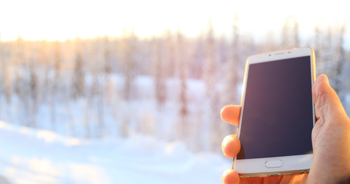 Phone in the winter forest