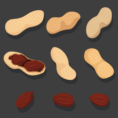 Vector set of peanuts