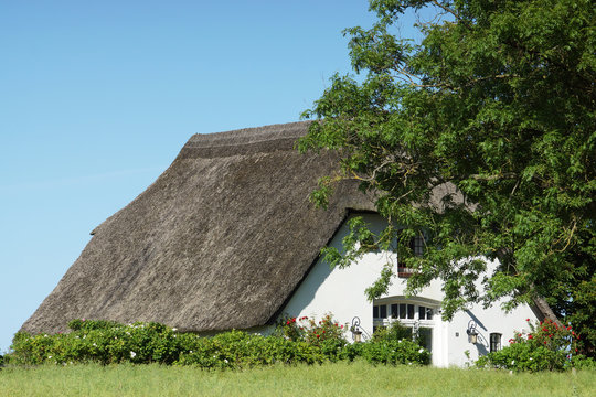 Reetdachhaus im Dorf Siggeneben , Ostholstein, Schleswig-Holstein