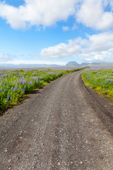 dirt road for Hjorleifshofoi iceland