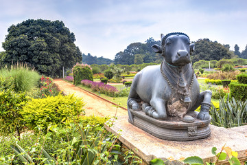 Bangalore Palace gardens, India