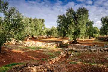 Puglia