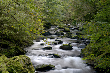 Waterfalls at Watersmeet, Lynmouth, Exmoor, North Devon