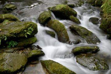 Naklejka na ściany i meble Waterfalls at Watersmeet, Lynmouth, Exmoor, North Devon
