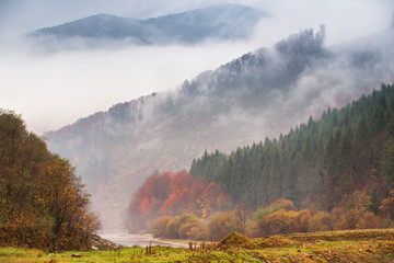 Fototapeta premium Autumn rain and fog in the mountains. Colorful autumn forest background
