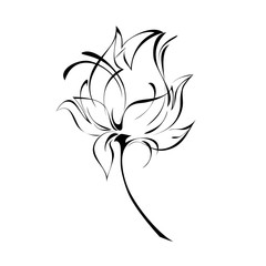 ornament 175. stylized flower in black lines on a white background