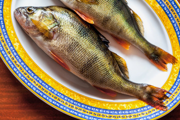 large perch lies on oval dish
